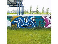 Elimina grafitis