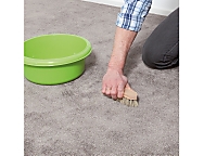 Limpiador para alfombras, moquetas y tapicerías (producto 95)