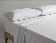 Almohada Antiácaros Acarsan. Firmeza Media