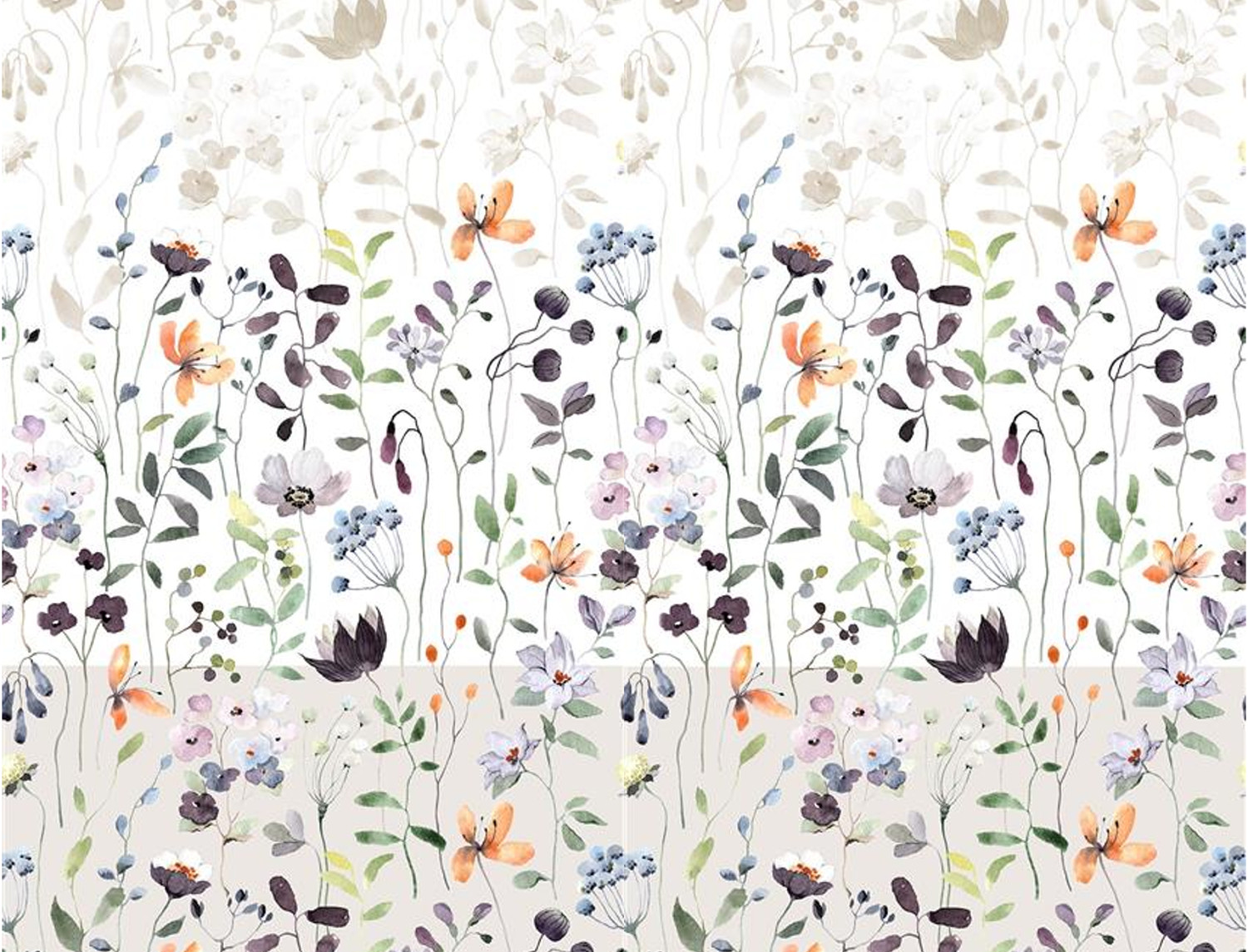 Confecciones Paula Tejido Llivia