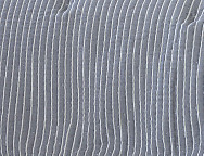 Bouti Jacquard Lires Azul