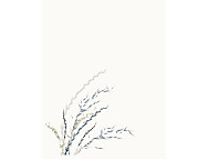 Funda nórdica 100% algodón Toscana Azul