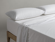 Haz clic para ampliar Almohada Antialérgenos Aura. 1 Funda algodón. Firmeza Media