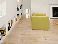 HG Protector laminado, vinilo y PVC (producto 70) - Brillo y protección para suelos laminados