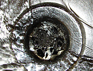 HG Desatascador cocina - Biodegradable. También para fosas sépticas