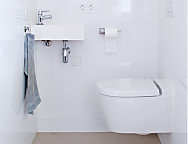 HG Limipiador baños higienizante - Secado rápido. en spray