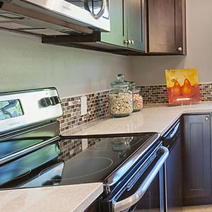 Limpieza de Electrodomésticos